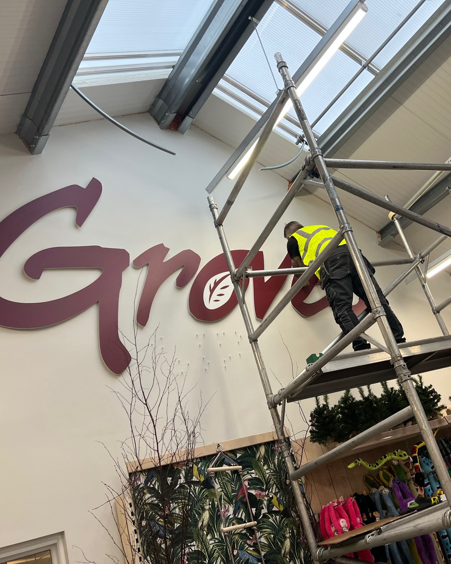 Purple Frog Signs installer working from scaffolding on large interior wall signage for a retail garden centre